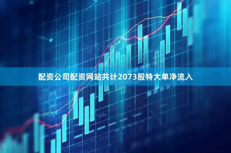 配资公司配资网站共计2073股特大单净流入